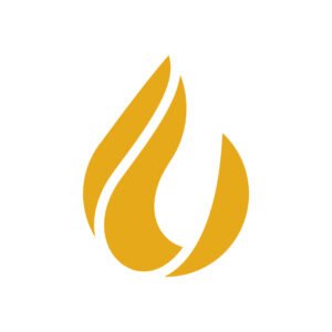 Flame Logo Design